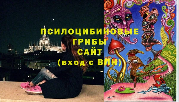 дурь Вязьма
